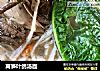 莴笋叶鸽汤面的做法