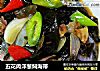 五花肉洋葱焖海带的做法