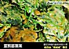 蛋煎苜蓿菜的做法