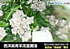 西洋菜肉末冻豆腐汤的做法