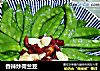 香辣炒荷兰豆的做法