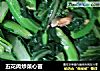 五花肉炒菜心苗的做法