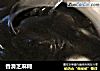 香滑芝麻糊的做法