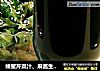 蜂蜜芹菜汁、麻酱生拌芹菜叶的做法