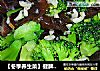 【冬季养生菜】健脾养胃防癌抗癌—蒜香西兰花的做法