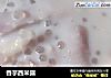 香芋西米露的做法