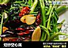 炝炒空心菜的做法