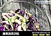 腰果蔬菜沙拉的做法