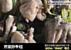 芹菜炒牛蛙的做法
