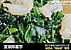 菠菜拌魔芋的做法