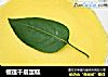 榴莲千层蛋糕的做法