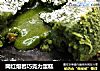 网红熔岩巧克力蛋糕的做法