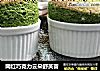 网红巧克力云朵舒芙蕾的做法