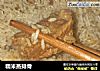 糯米蒸排骨的做法