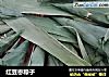 红豆枣粽子的做法