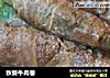 秋葵牛肉卷的做法