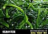 蚝油木耳菜的做法