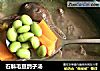 石斛毛豆鸽子汤的做法