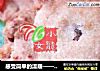 感受简单的温暖——核桃酥的做法