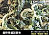 老香椿焕发新生的做法