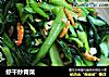 虾干炒青菜的做法