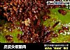 虎皮尖椒酿肉的做法