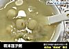 糯米莲子粥的做法
