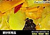 素炒东南瓜的做法