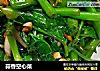 蒜香空心菜的做法