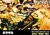 酱香烤鱼的做法