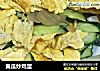 黄瓜炒鸡蛋的做法