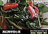 西红柿炒空心菜的做法
