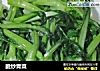 脆炒青菜的做法