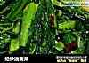 炝炒油麦菜的做法