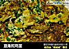 豆角煎鸡蛋的做法