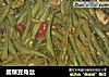 酱爆豆角丝的做法