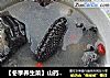 【冬季养生菜】山药乌鸡汤的做法