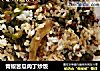 青椒苦瓜肉丁炒饭的做法