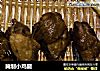 腌制小鸡腿的做法