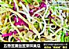 五香豆腐丝豆芽拌黄瓜的做法