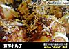 蟹柳小丸子的做法