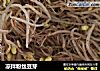 凉拌粉丝豆芽的做法