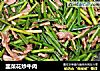 韭菜花炒牛肉的做法