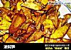 油焖笋的做法