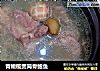 青橄榄煲筒骨鲍鱼的做法