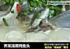 荠菜汤圆炖鱼头的做法