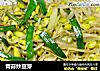 青蒜炒豆芽的做法