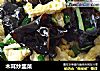 木耳炒韭菜的做法