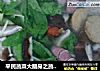 平民蔬菜大翻身之蔬菜火锅的做法