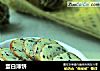 蛋白薄饼的做法